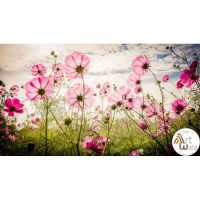 پوستر دیواری گل طبیعی – کد: HD 7201151