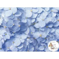 پوستر دیواری گل طبیعی – کد: HD 7201244