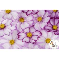پوستر دیواری گل طبیعی – کد: HD 7201342
