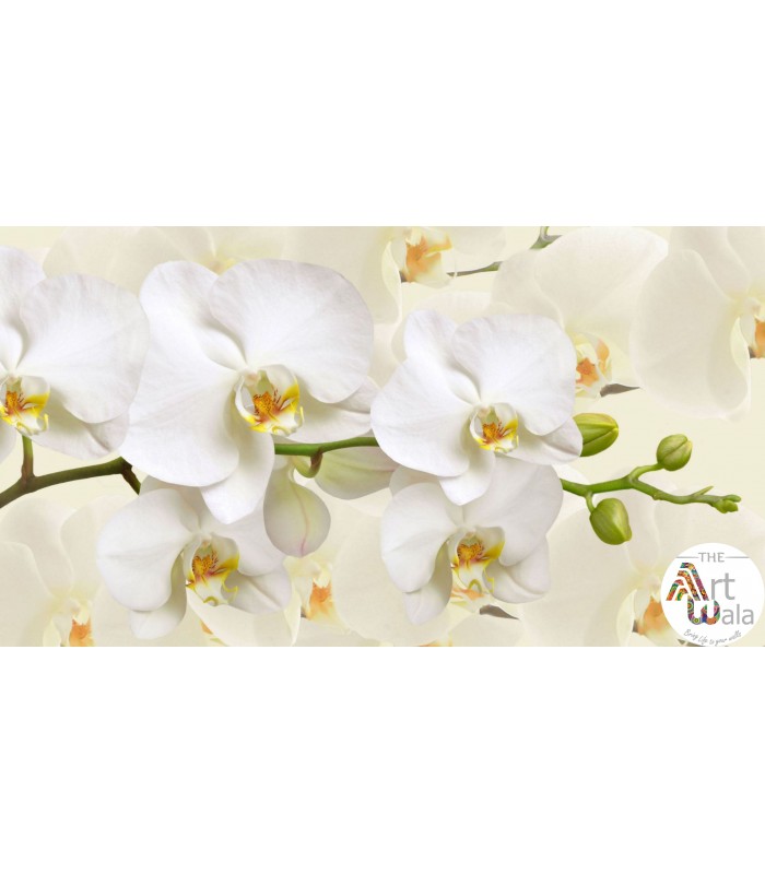 پوستر دیواری گل طبیعی - کد: HD 7201499