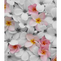 پوستر دیواری گل طبیعی – کد: AW 12992