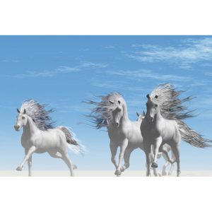 پوستر دیواری حیوانات - کد: AW 13309