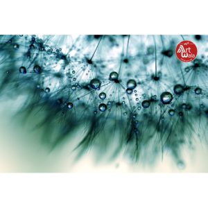 پوستر دیواری وکتور کد: AW 14052