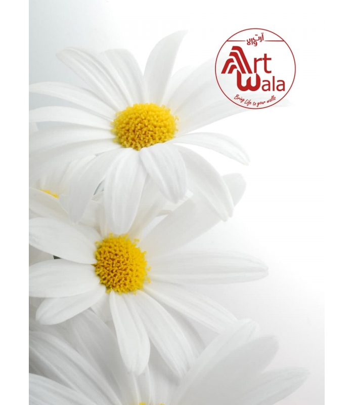 پوستر دیواری گل طبیعی کد: AW 14558