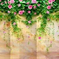 پوستر دیواری گل طبیعی  کد: AW 14616