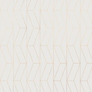بک گراند عکاسی مدرن