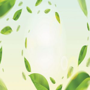 بک دراپ عکاسی